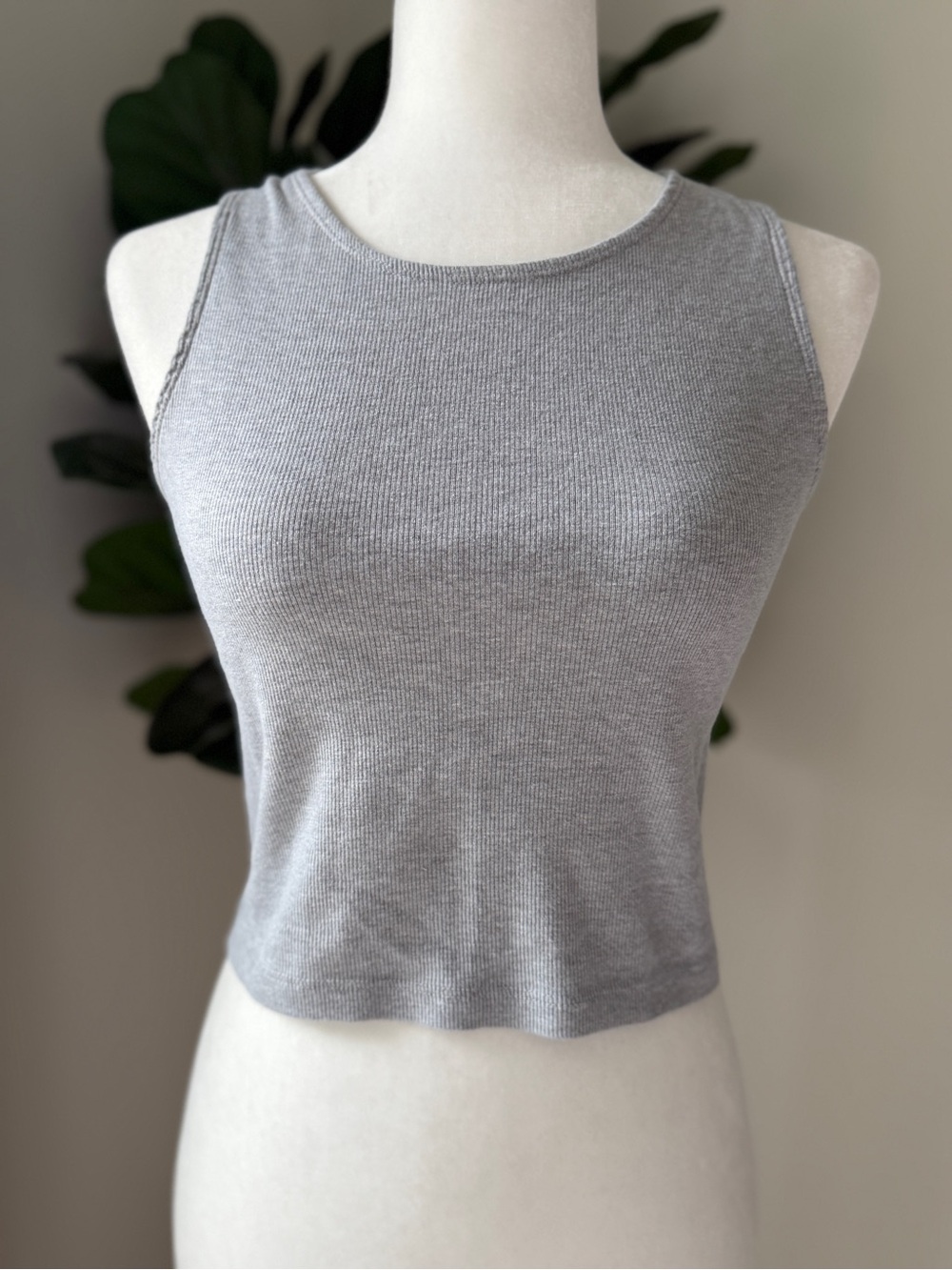 Truly Madly Deeply Light Gray Cotton Ribbed Cropped Tank